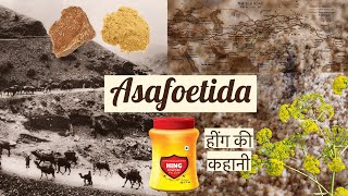 Asafoetida or Hing [upl. by Nonac]