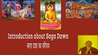 Introduction about Saga Dawa सागा दावा का परिचय [upl. by Anuqahs]