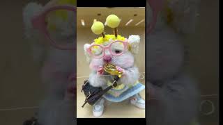 Adorable Hamster eating codliver oil可爱鼠鼠吃鱼肝油hamsters cute pets animals funnyeatingeatshorts [upl. by Kerril143]