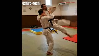 Comment faire Ushirogoshi pour lUV2 technique du 1er DAN Judo Jujitsu judo [upl. by Lafleur]