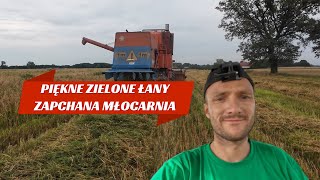 BIZON W PIĘKNYM ZIELONYM ŁANIE MŁOCARNIA ZAPCHANA [upl. by Bonis455]