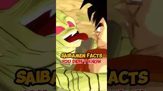 Interesting Saibaman Facts  dragonball dbz [upl. by Wilsey137]