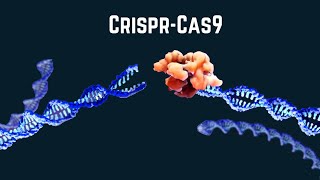 Exploring CRISPRCAS9 origin mechanism and therapeutics [upl. by Narol]