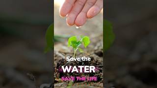 Save Water Save Life Simple Ways to Conserve Water Daily 🌍💧 [upl. by Eipper]