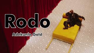 Adekunle Gold  Rodo Lyrics video [upl. by Aserehc]