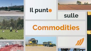 Il punto sulle commodities 16 settembre 2024 [upl. by Neleag]