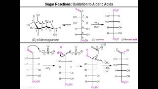 Lec10  Oxidation of Aldose Sugars to Aldonic and Aldaric Acids [upl. by Florentia752]