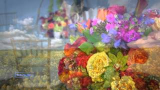 Flowers Charm  music Igor Dvurechensky [upl. by Swihart302]