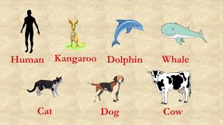 Animal Classification I VertebratesMammals fish birds amphibians and reptiles Kids Video [upl. by Camala561]