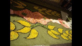 ALFOMBRAS HECHAS CON FLORES EN LA OROTAVA 2017 [upl. by Asiat]