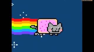 Super Nyan Cat Funny Hamster Voice 2015 na na nananana na na [upl. by Aihtennek]