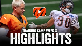 Cincinnati Bengals Training Camp Highlights amp Recap  Week 3 [upl. by Prescott]