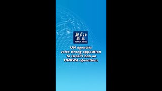 Xinhua News  UN agencies voice strong opposition to Israels ban on UNRWA operations [upl. by Safier]