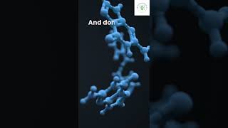 Ep 24 Tiny Heroes How DNA Repair Enzymes Fix Our Cells health science facts viralshorts [upl. by Jacobina]