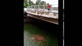 WOW  Sungai di Jakarta Yang Dulu Penuh Sampah Sekarang Penuh Ikan [upl. by Malachi]