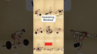 Hamstring Workout At Gym workout exercise hamstringworkout hamstrings lowerbodyworkout shorts [upl. by Haily]