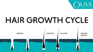 Natural Hair Growth Cycle Explainer Video On Anagen Catagen amp Telogen Phases [upl. by Nilo]