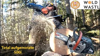 ChainsawTuning Stihl 500i geported [upl. by Mages]