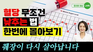 혈당 무조건 낮추는 방법 혈당 스파이크 잡는 법 모음집 60분 재생 정라레 [upl. by Pammie]