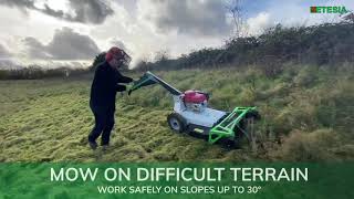 Etesia Attila AH75 Pedestrian Brushcutter in Action [upl. by Enayr]