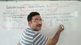 Restriction Enzymes  BS MSc Botany Zoology Biotechnology  PPSC Preparation  Urdu  Hindi [upl. by Anilave]