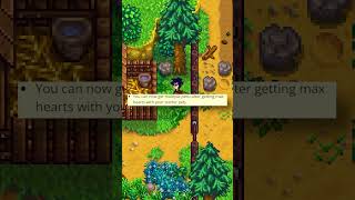 Everything Added In Stardew Valley 16 [upl. by Relyat931]