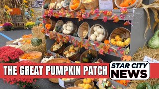 Great Pumpkin Patch Returns to Congress Street United Methodist Church [upl. by Aubigny]