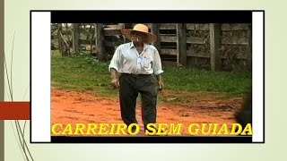 CARREIRO SEM GUIADAOS DOIS MINEIROSCompositoresAlmezinoToni Gomide [upl. by Ahsinrac731]