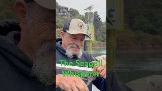 Two toes the Seagull Whisper fishing fishinglife fishingvideo funnyshorts funny fisherman [upl. by Onez173]