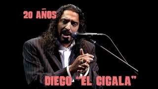 DIEGO EL CIGALA 20 Añoswmv [upl. by Griffiths]