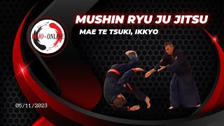 Mushin ryu Ju jitsu Mae te tsuki Ikkyo [upl. by Prentiss]