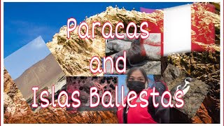 Episode 4 Paracas Nature Reserve  Islas Ballestas 🇵🇪 [upl. by Tehr]