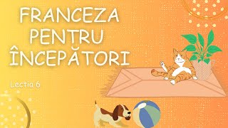 Franceza pentru incepatori 6  Propozitii simple in franceza2023prima parte [upl. by Punak]