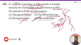 In a cell the separation of DNA strands is brought about by the enzyme DNA helicase whereas in [upl. by Paapanen]