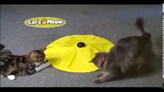 Cats Meow Commercial For The Fun Cat Toy [upl. by Haldane]