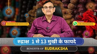 Benefits of 1 Mukhi to 13 Mukhi Rudraksha अद्भुत फायदे  किस समस्या के लिए कौन सा रुद्राक्ष धारण करे [upl. by Ahsinauq]