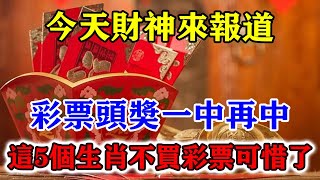 今天財神來報道！彩票頭獎一中再中！這5個生肖不買彩票可惜了！抓住機遇連旺十年！運勢 風水 佛教 生肖 发财 横财 【佛之緣】 [upl. by Suirred]