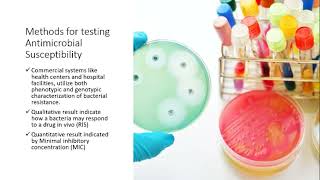 Antimicrobial Susceptibility Testing [upl. by Franza]