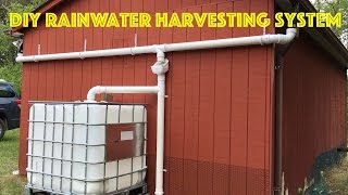 DIY Rainwater Harvesting System [upl. by Darrow588]