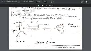 Control and Coordination class 10 science chapter 7  Complete One Shot [upl. by Rammaj]