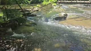 Appalachian Mountain Stream 30 Minutes [upl. by Sill645]