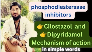 pharmacologycilostazol dipyridamol  phosphodiestersase inhibitors mechanism of action by Druut [upl. by Girish774]