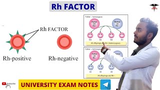 Rh Factor  Blood physiology [upl. by Clarette]