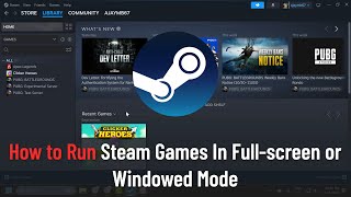 How to Run Steam Games In Fullscreen or Windowed Mode [upl. by Seen]