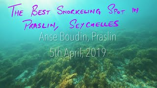 Best snorkeling spot in Praslin Seychelles [upl. by Marys]