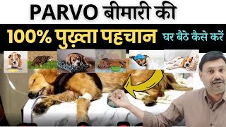 PARVO की यूनिक पहचान 👌🏽Dog Puppy Parvo Symptoms  dog ko parvo bimari ke lakshan [upl. by Nylzaj234]