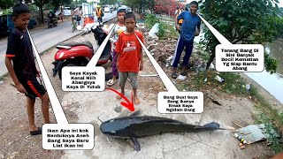 Masyallah Pertanda Apa ini TibaTiba Ribuan ikan Besar Naik Ke Permukaan Seketika Menggemparkan warga [upl. by Sibilla382]