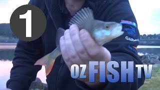 Oz Fish TV Season 4 Episode 1  Blue Rock Lake and Corinella Part one [upl. by Cory]