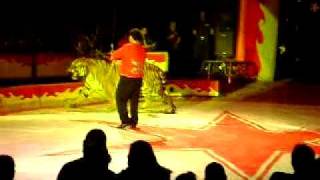 circo atayde hermanos en tepic nay domador de tigres de vengala [upl. by Jill]