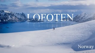 Best of Lofoten Norway in winter season in ONLY 227 min March 2024  Jones de Rosso Photography [upl. by Ireland]